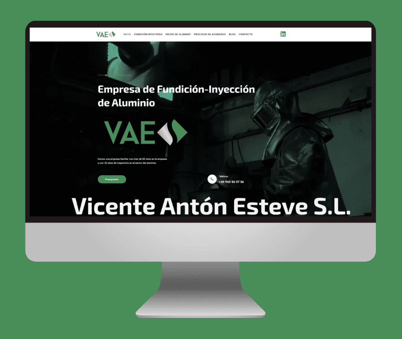 VAE – Diseño web